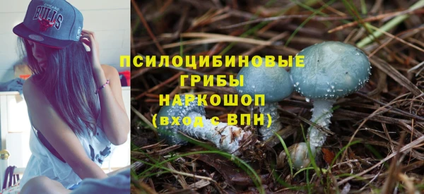 спиды Алексеевка